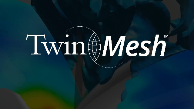 TwinMesh Workflow Video